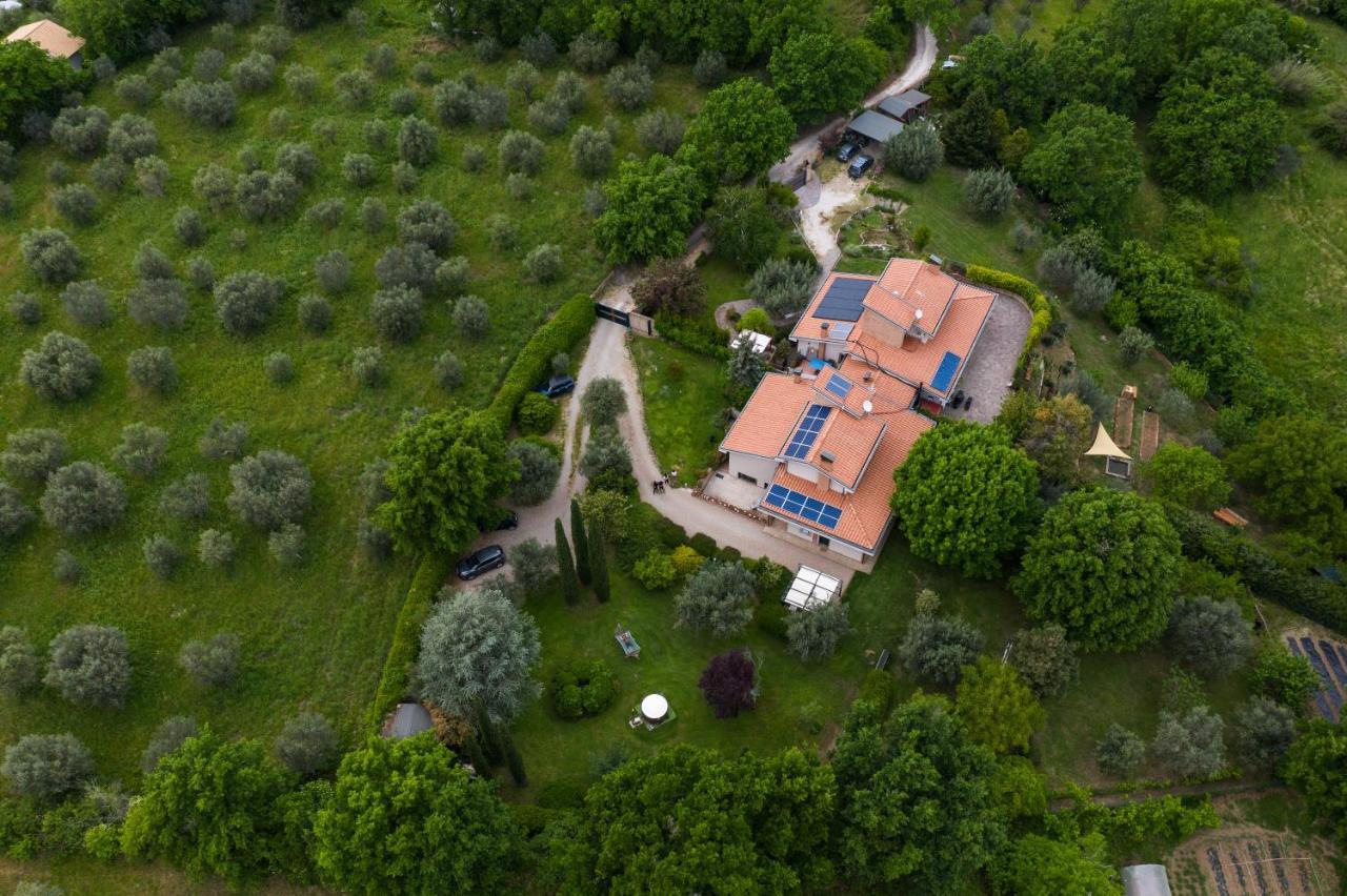 Bed and Breakfast Bio & B - Italyke Viterbo Exterior foto